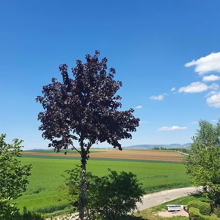 Ferienwohnung im Schwarzwaldhaus Behla Exterior foto