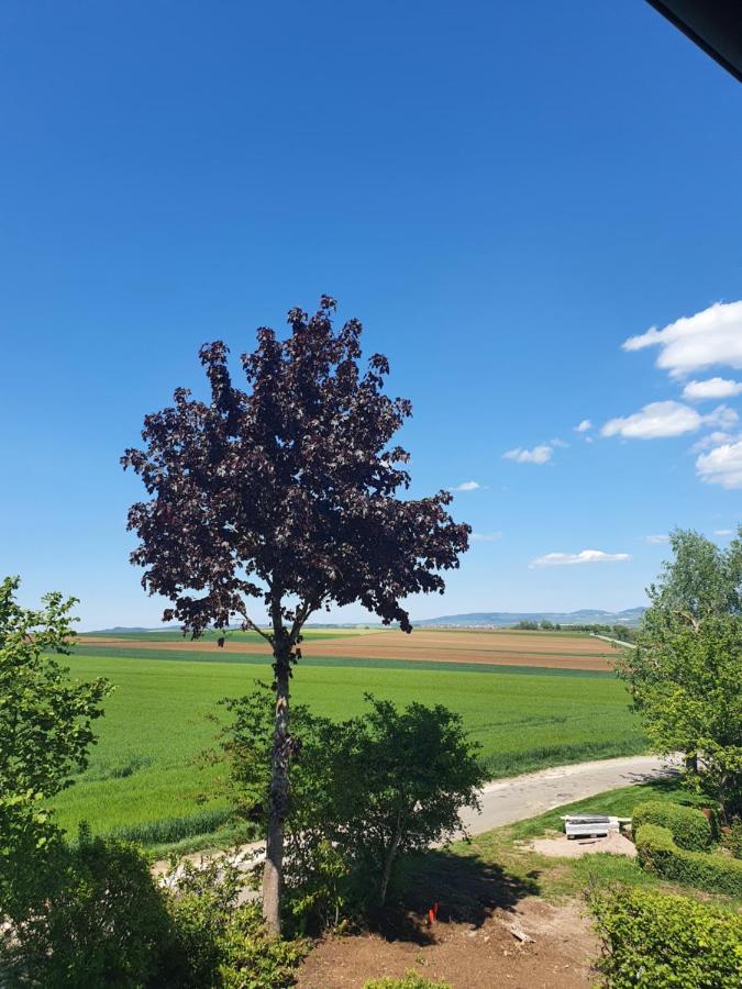 Im Schwarzwaldhaus